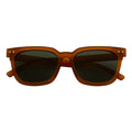 BELMONT - Polarized Classic Retro Horn Rimmed Jelly Brown Green Tint